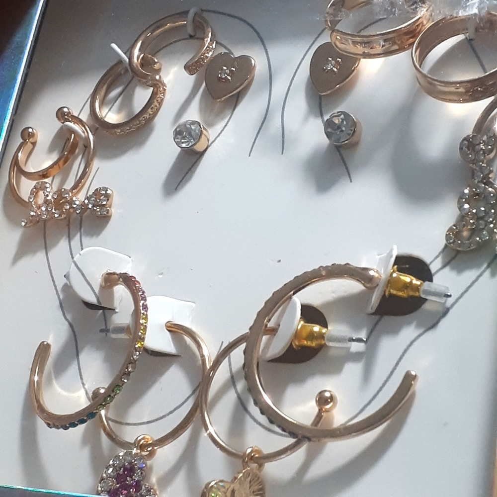 Steve Madden Earrings Set